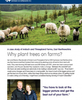 Case Study: Why Plant Trees on Farms?